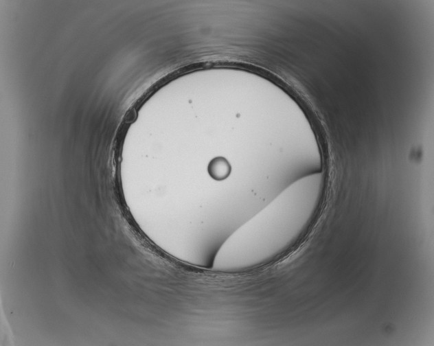 X0000113930885200910231919