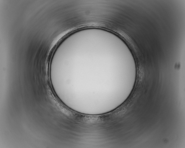 X0000113930886200910231919