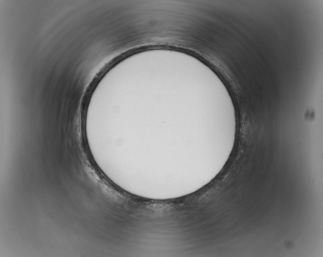X0000113930888200910231919