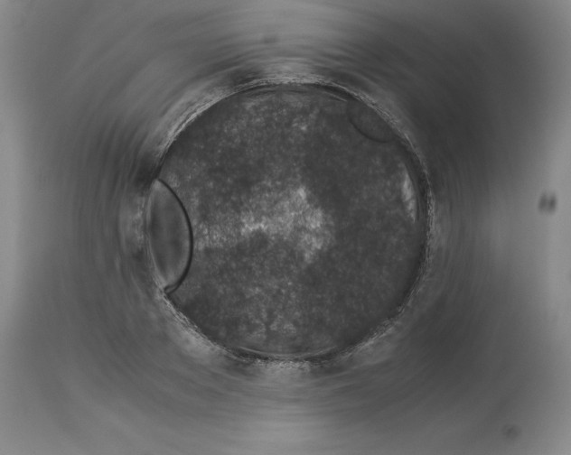 X0000113930889200910231919
