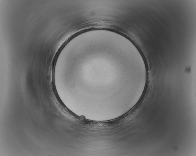X0000113930891200910231919