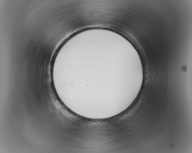 X0000113930892200910231919