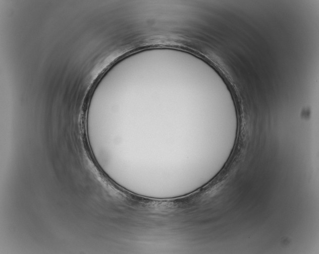 X0000113930893200910231919