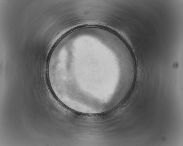 X0000113930895200910231919