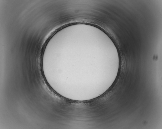 X0000113930896200910231919