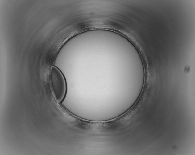 X0000113930897200910231919