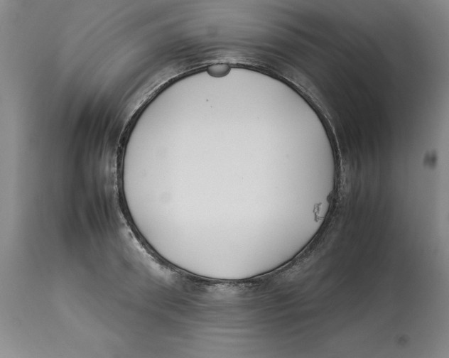 X0000113930898200910231919