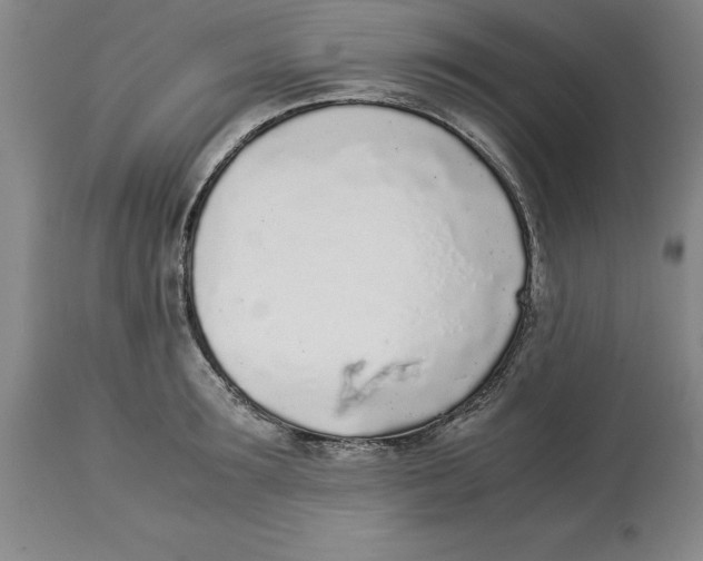 X0000113930899200910231919