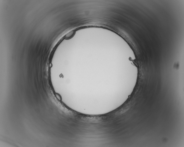 X0000113930900200910231919
