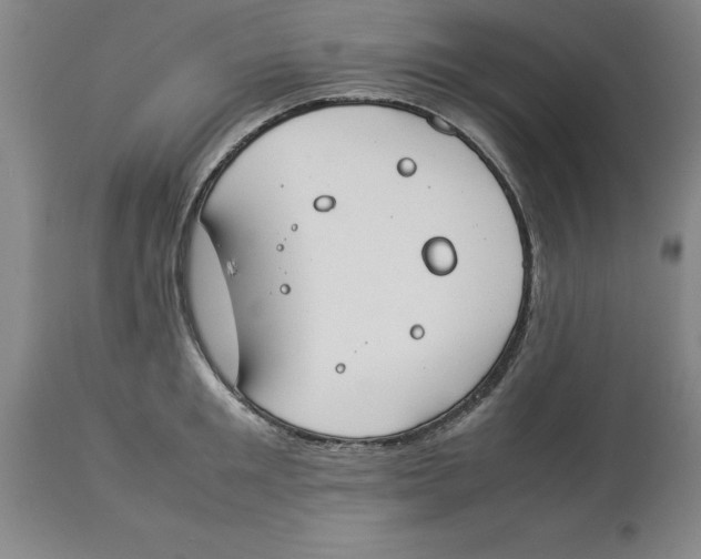 X0000113930901200910231919