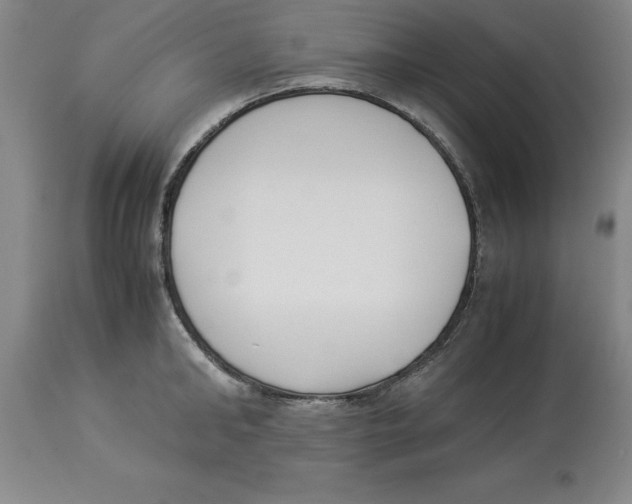 X0000113930902200910231919