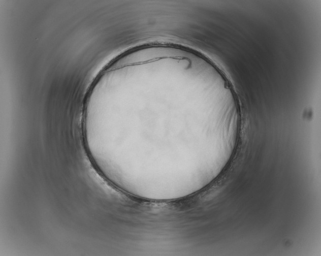 X0000113930903200910231919