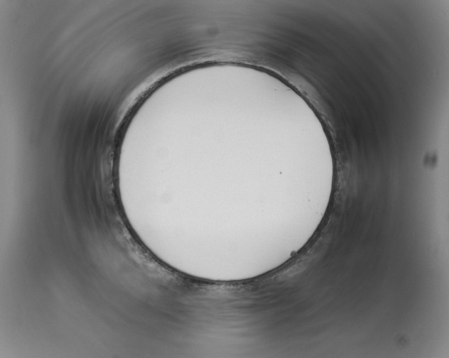 X0000113930904200910231919
