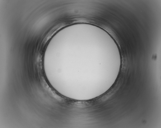 X0000113930906200910231919