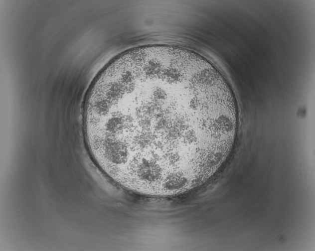 X0000113930907200910231918