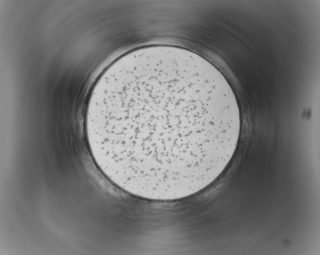X0000113930908200910231918