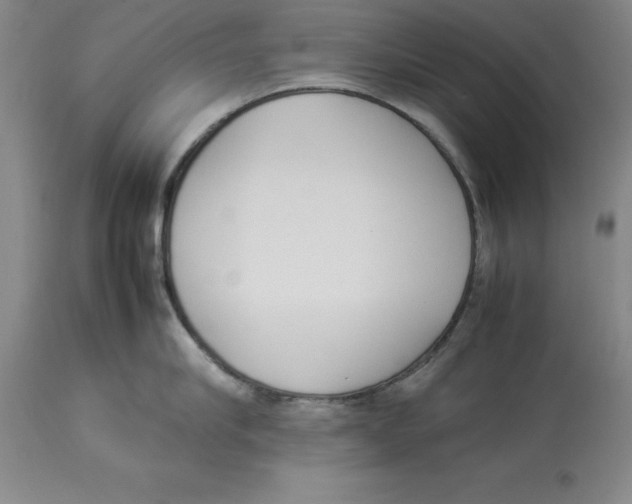 X0000113930910200910231918