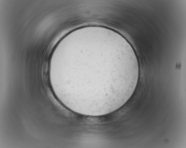 X0000113930911200910231918