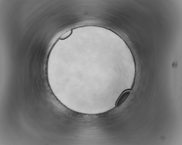 X0000113930912200910231918