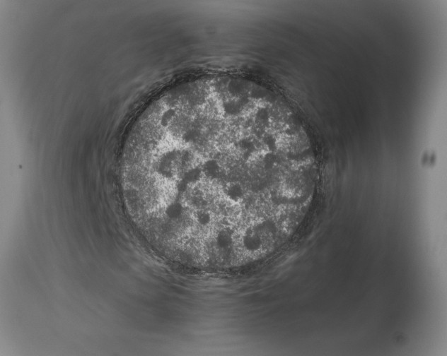X0000113930913200910231918