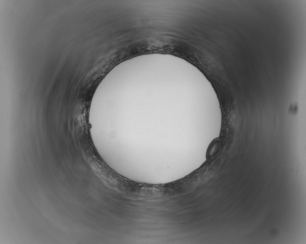 X0000113930914200910231918