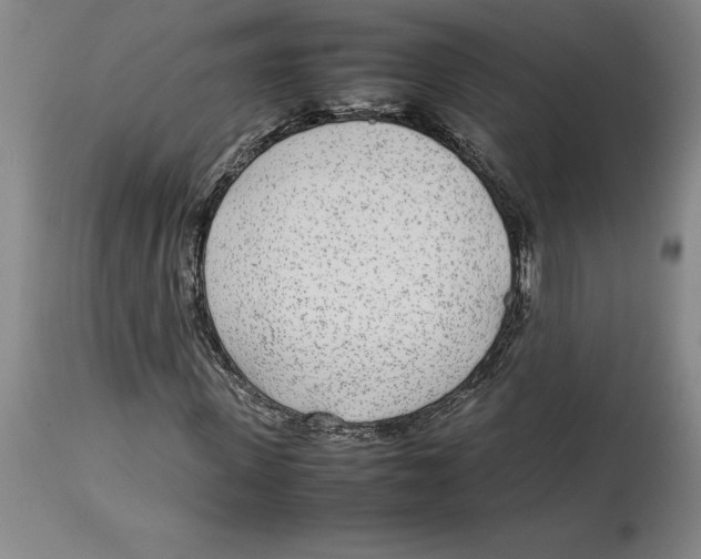 X0000113930915200910231918