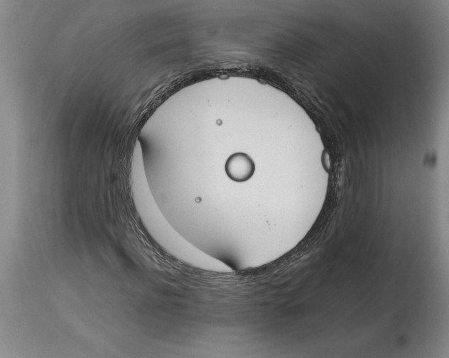 X0000113930916200910231918