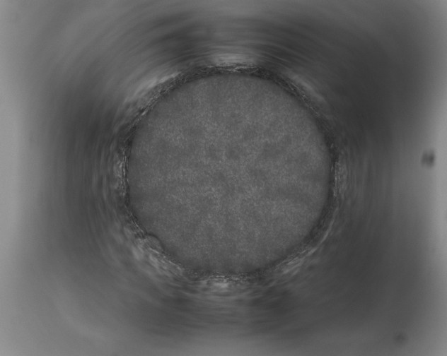X0000113930917200910231918