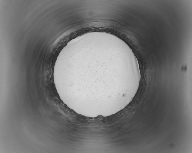 X0000113930920200910231918
