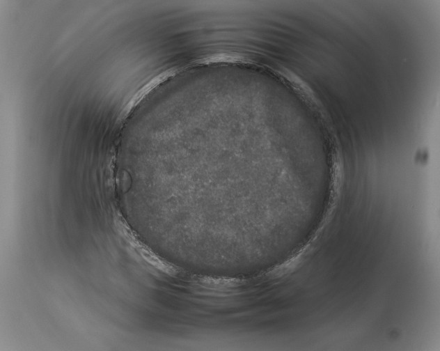 X0000113930921200910231918