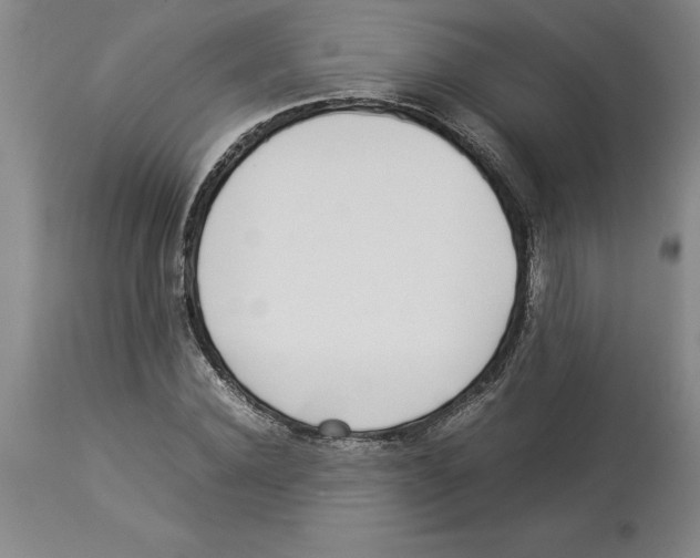 X0000113930924200910231918