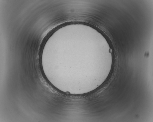 X0000113930928200910231918