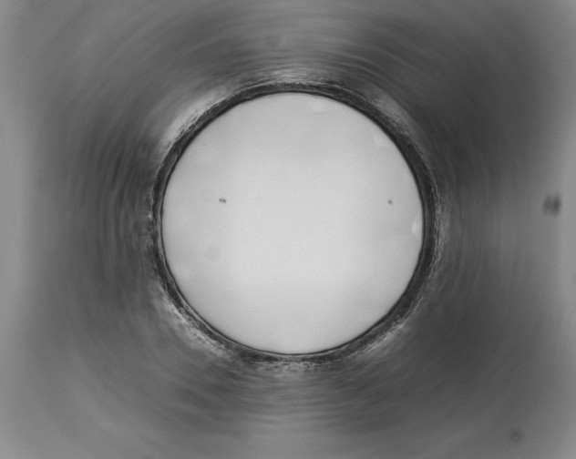 X0000113930930200910231918