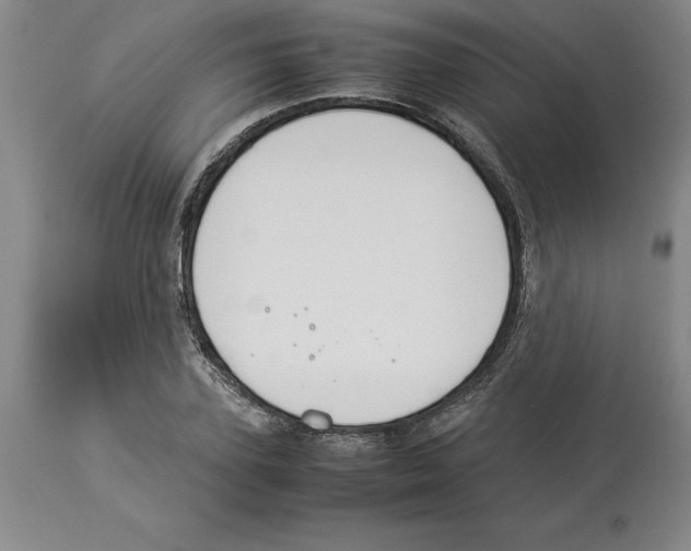 X0000113930931200910231918