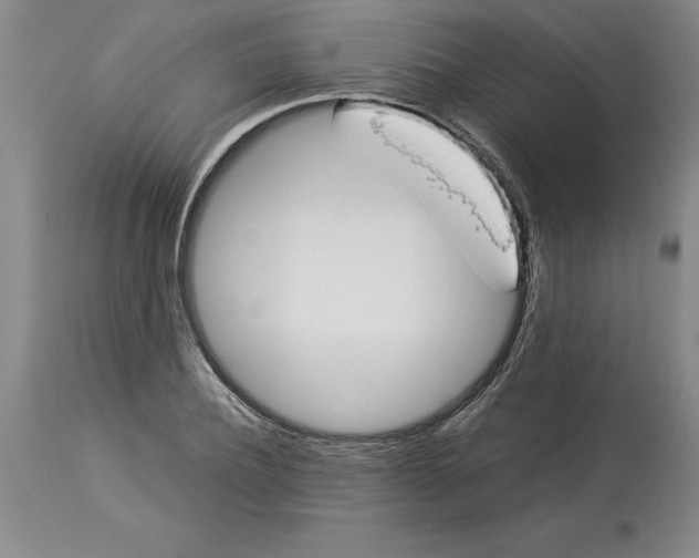 X0000113930932200910231918