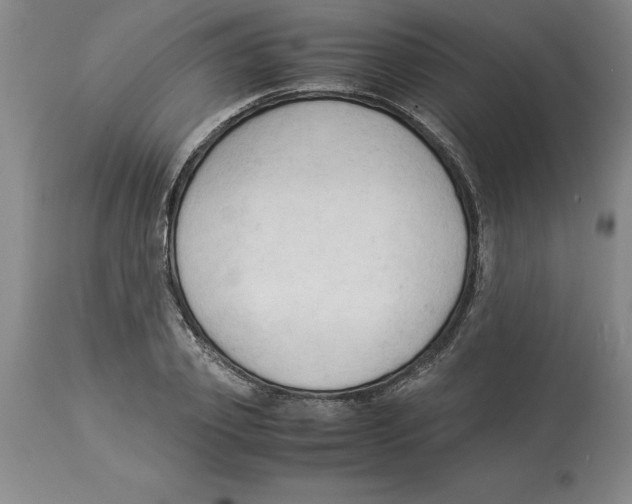 X0000113930933200910231918