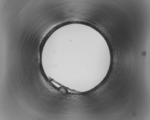 X0000113930934200910231918