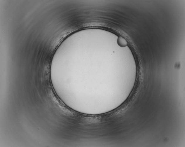 X0000113930937200910231918