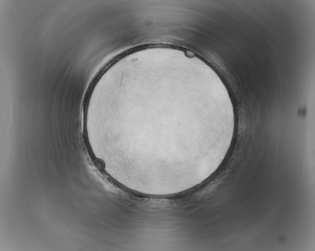 X0000113930940200910231918