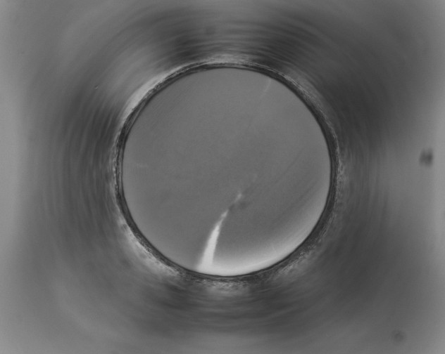 X0000113930941200910231918