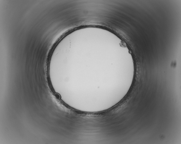 X0000113930942200910231918
