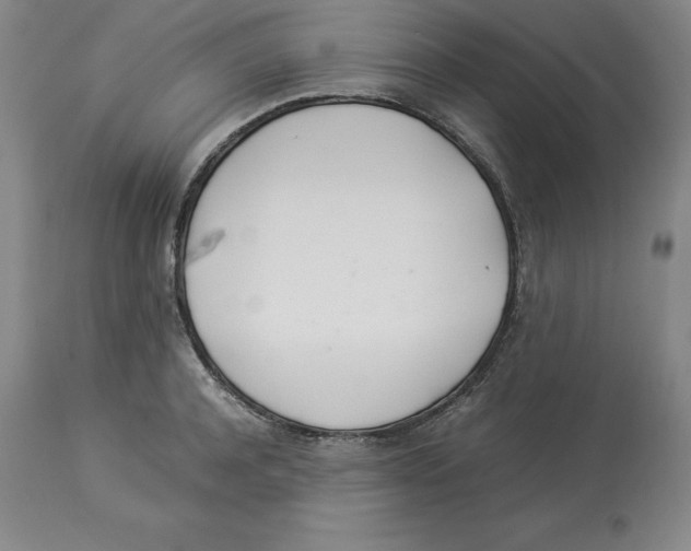X0000113930944200910231918
