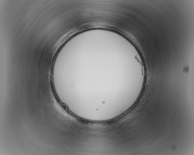 X0000113930946200910231918