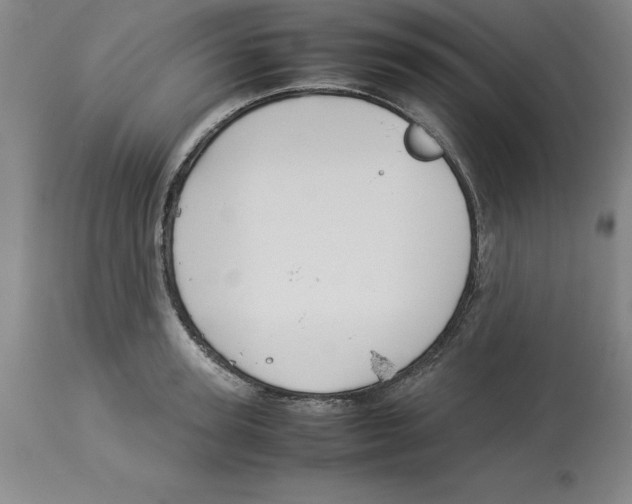 X0000113930947200910231918