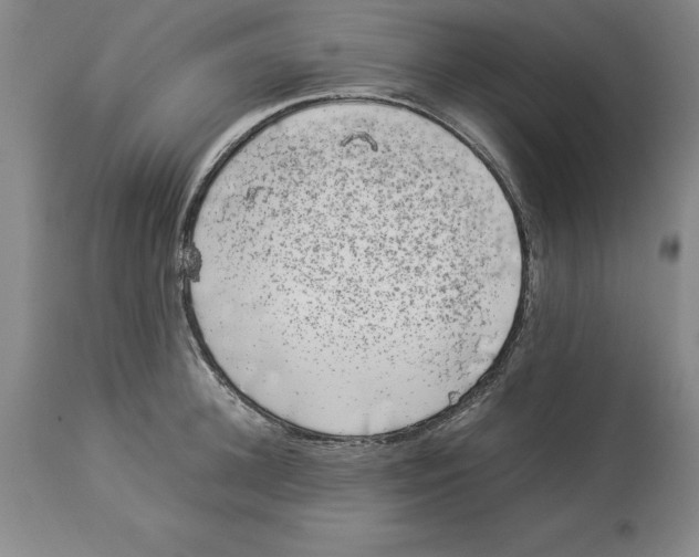 X0000113930948200910231918