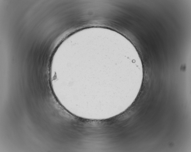 X0000113930950200910231918