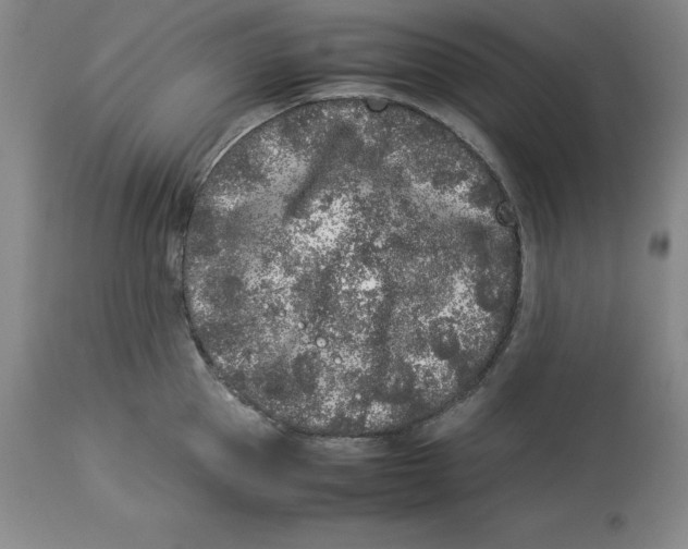 X0000113930953200910231918