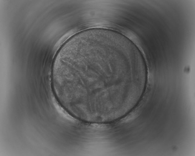X0000113930954200910231918