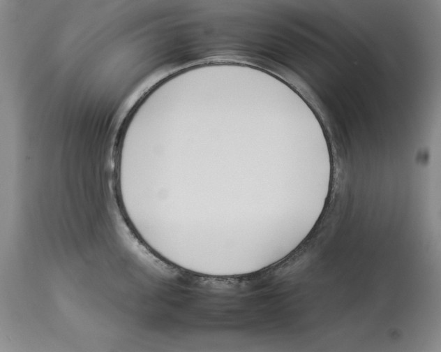 X0000113930955200910231918