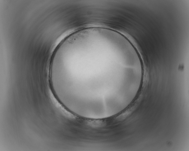 X0000113930957200910231918